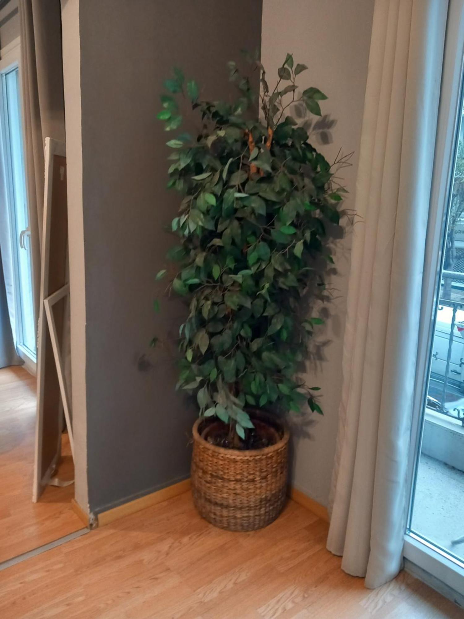 Closer "Egnatia Apartment 2" Thessaloníki Ngoại thất bức ảnh